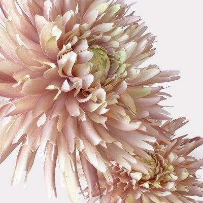 Dahlia Spray Light Pink Artificial Faux Flowers