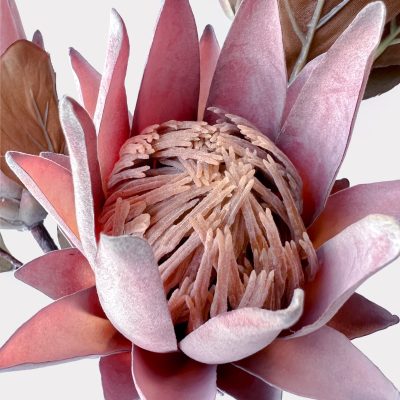 Dusty Pink Protea Artificial Faux Flowers