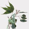 Eucalyptus Flower Spray Artificial Faux Flowers