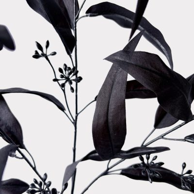 Halloween Willow Eucalyptus Black