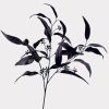 Halloween Willow Eucalyptus Black