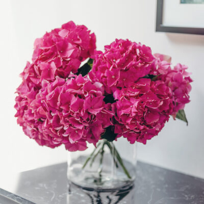 Hot Pink-Hydrangea-Flower-Delivery-Singapore