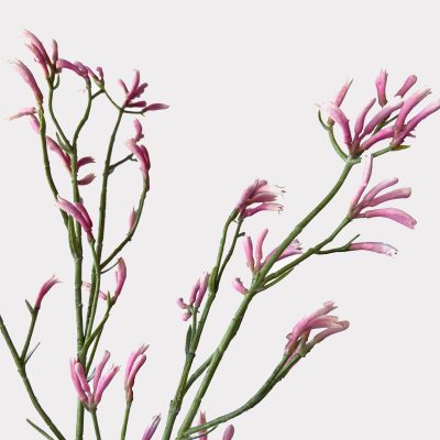 Kangaroo Paw Pink Artificial Faux Flowers