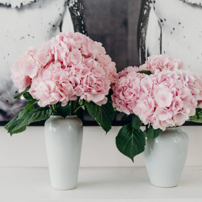 Pink-Hydrangea-Flower-Delivery-Singapore