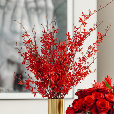 James Storie Red Orchids