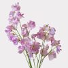 Sweet Pea Artificial Faux Flowers