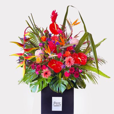 Tropical Congratulatory Flower Stands