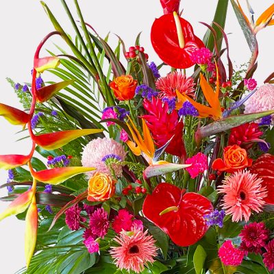Tropical Congratulatory Flower Stands